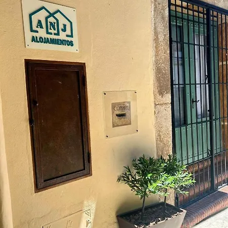 Apartment Anj Estudio Templete *